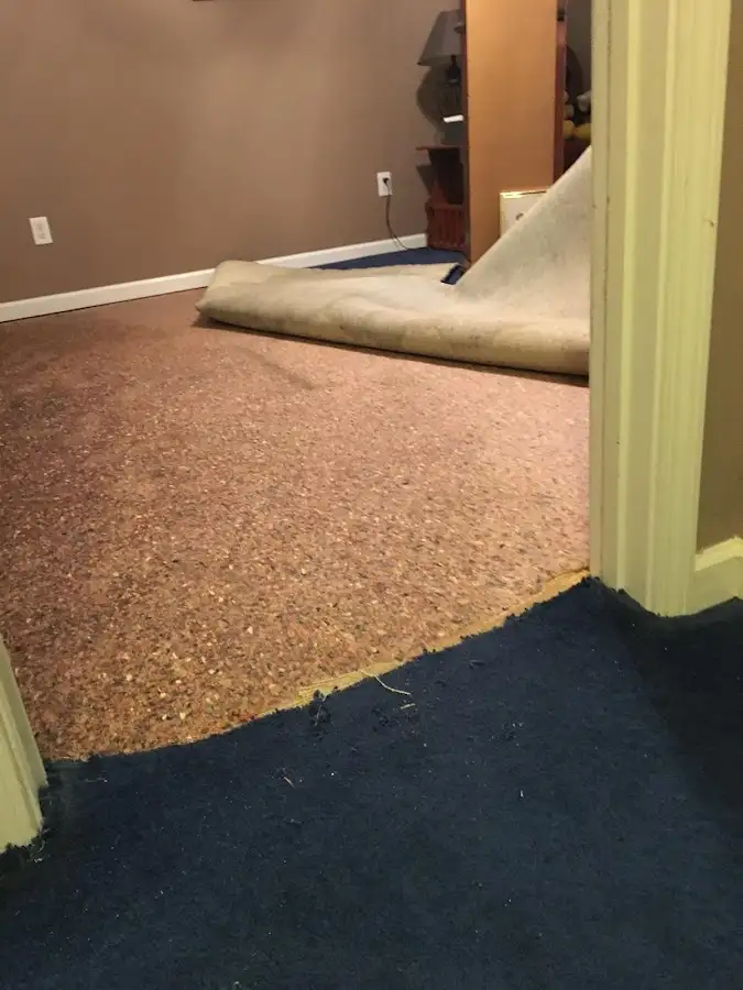 Carpet pad removal revealing water damage during Water Mitigation Services in Xenia